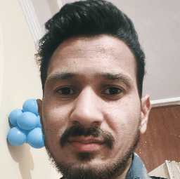 Aditya Rauthan