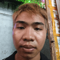 NGÔ NGỌC GIA HUY