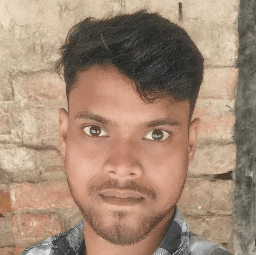 Aryan Raj