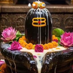Shree Bala ji power mobile Tower